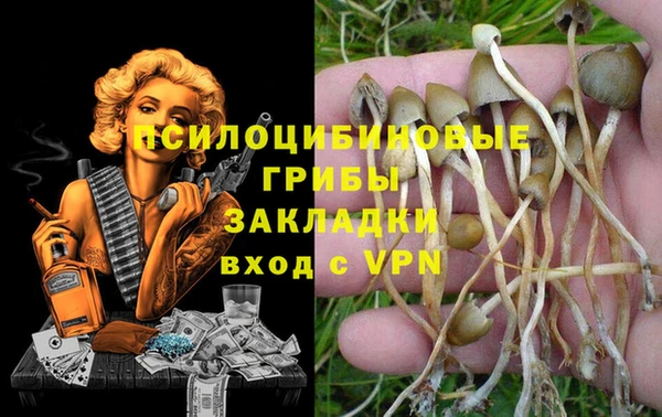 твердый Балабаново